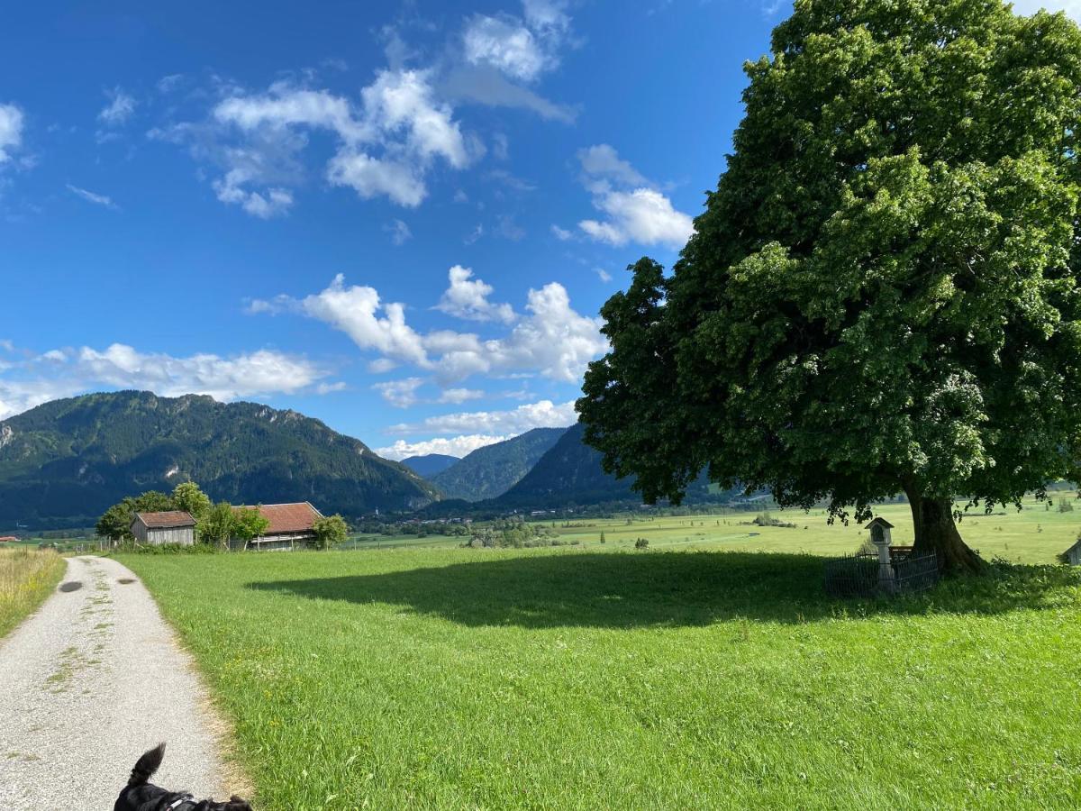 شقة Im- Oberland - Berg - Koenigscard باد كوهلغرب المظهر الخارجي الصورة