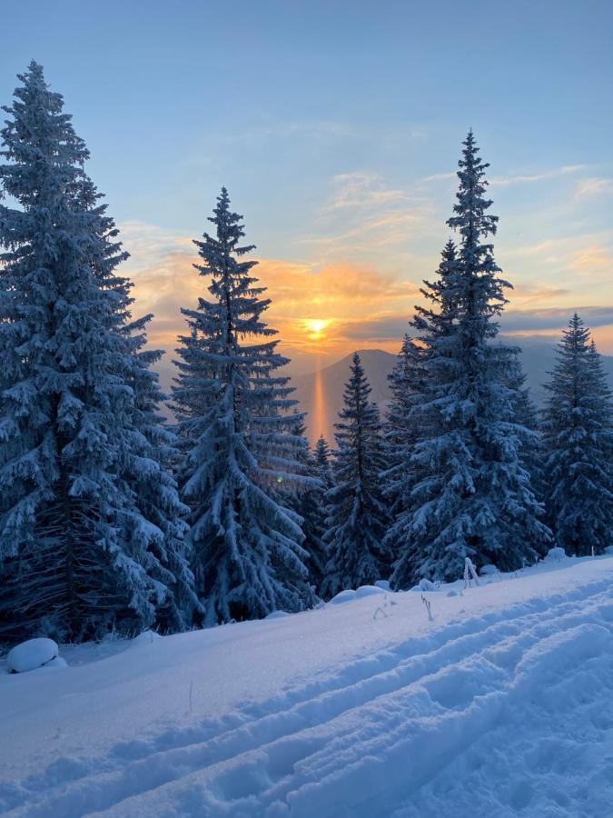 شقة Im- Oberland - Berg - Koenigscard باد كوهلغرب المظهر الخارجي الصورة