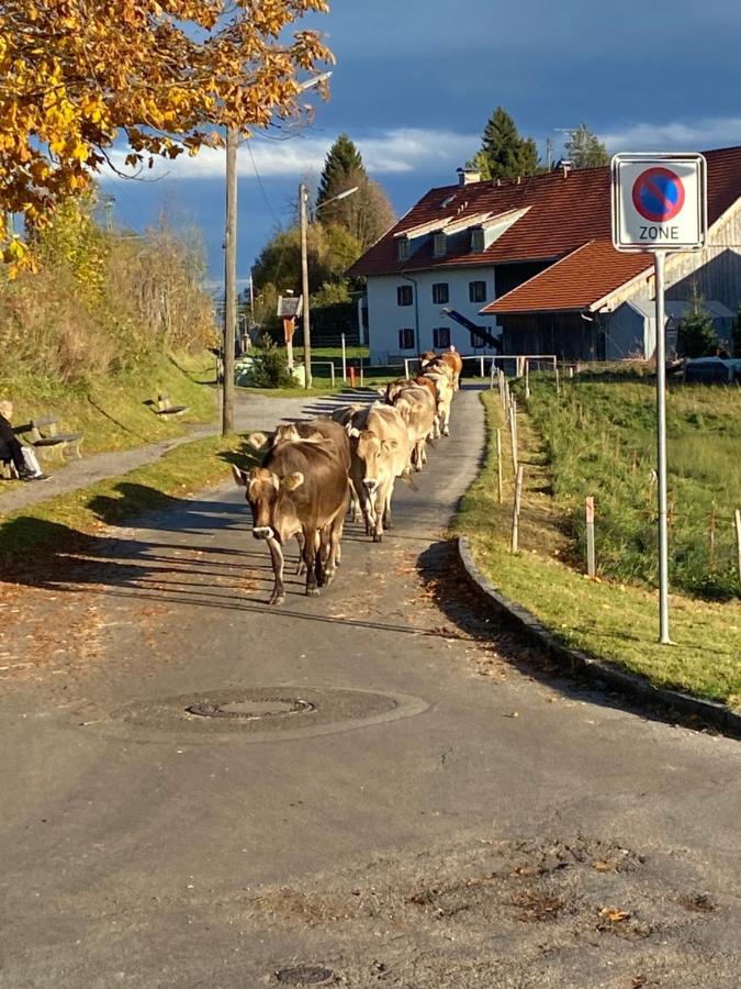 شقة Im- Oberland - Berg - Koenigscard باد كوهلغرب المظهر الخارجي الصورة